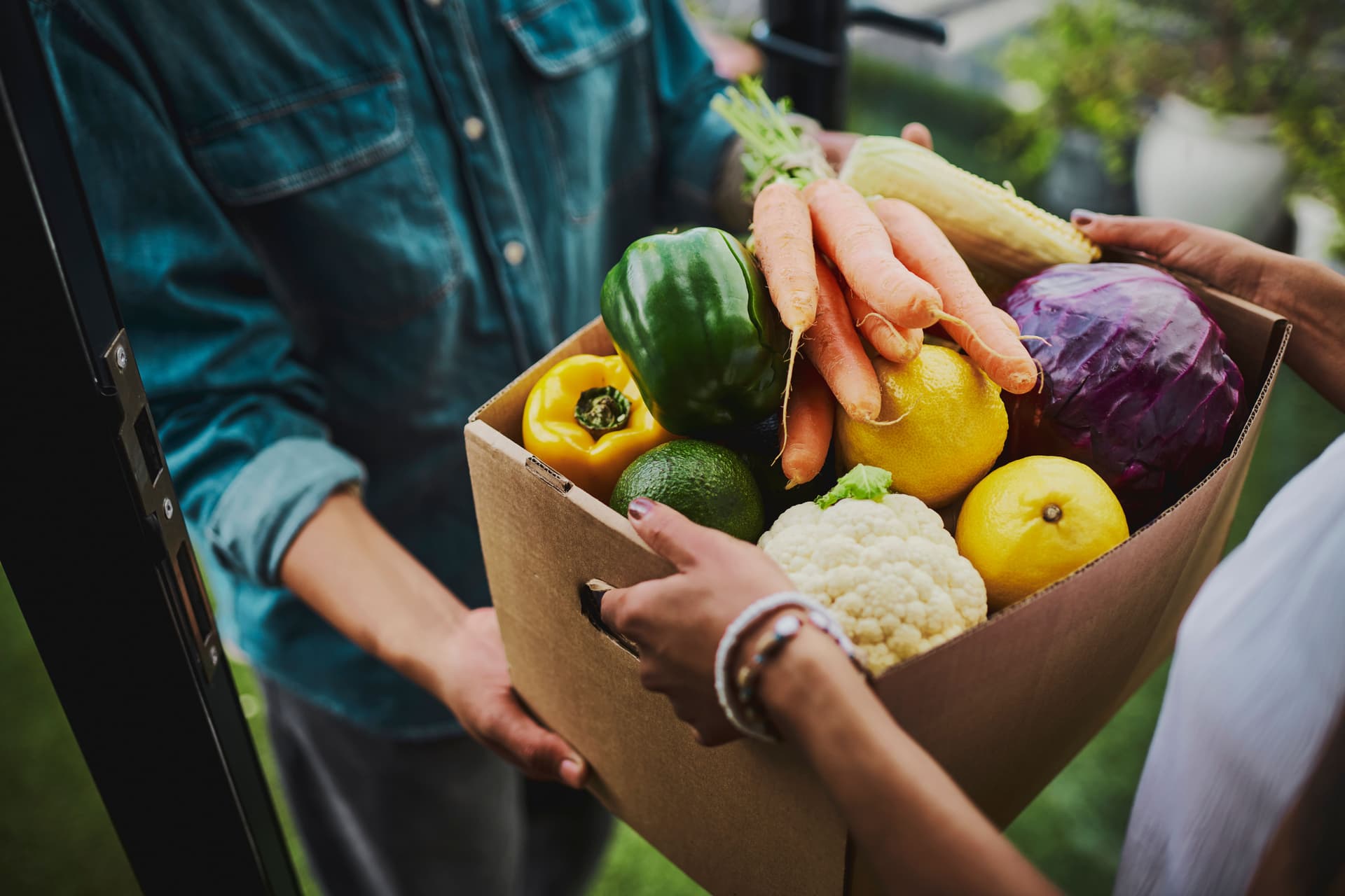 Fresh fruit and vegetables ready to share
