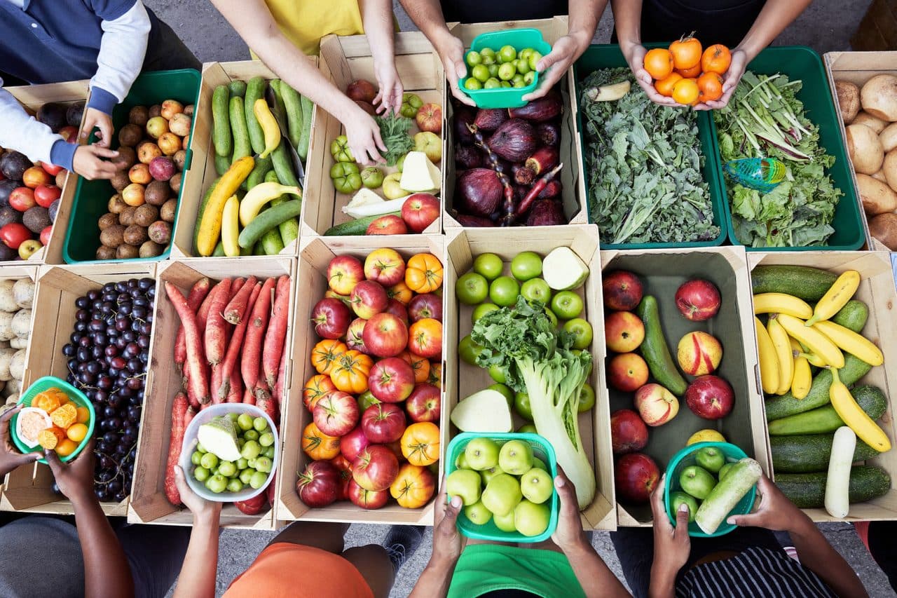 Volunteers sorting fresh fruits and vegetables together